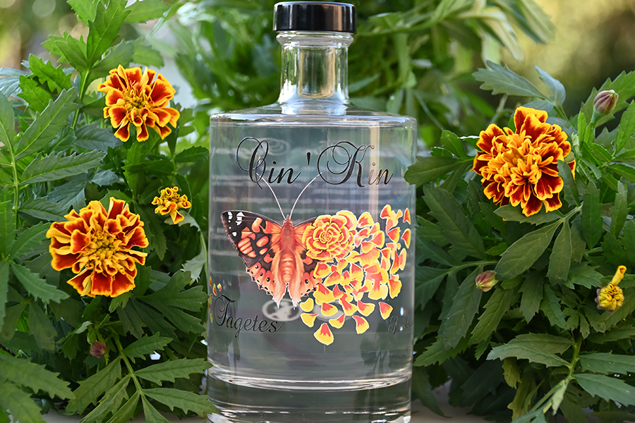 GIN CIN KIN TAGETES 20%